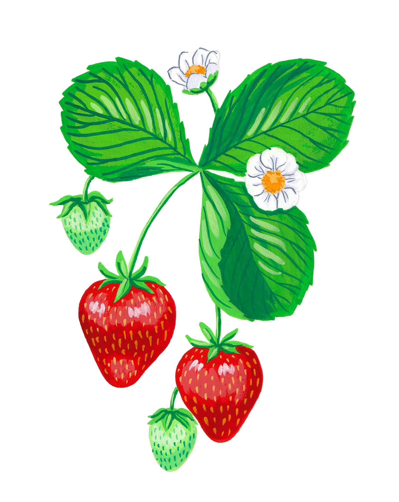 Strawberries