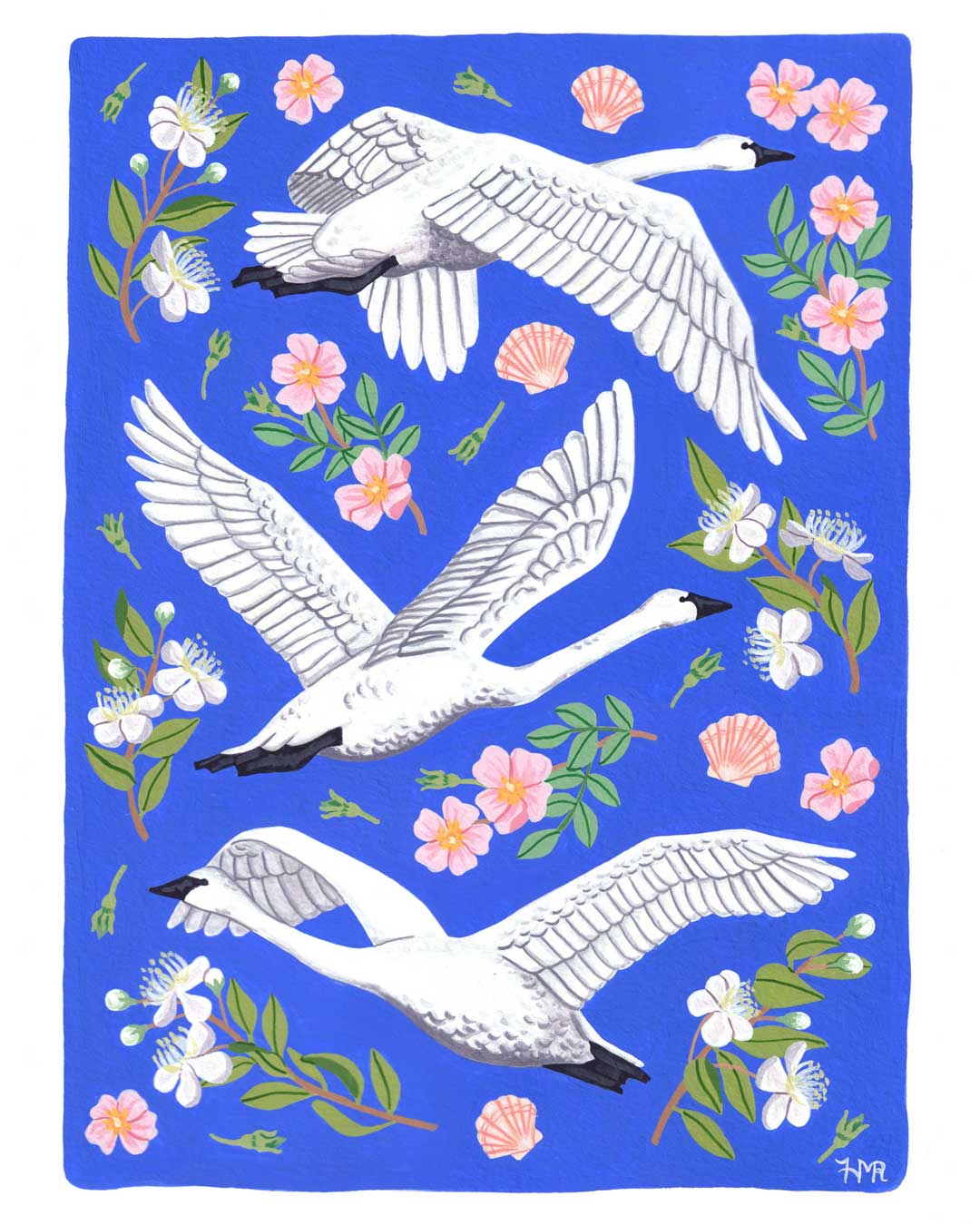 Swans & Myrtle